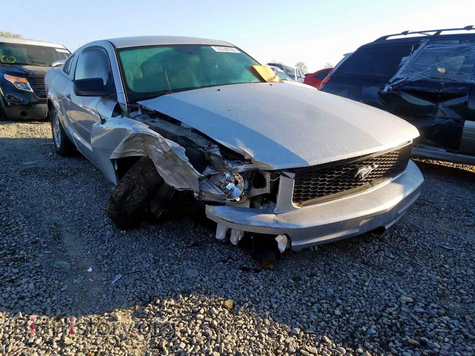 Photo 1ZVFT80N265202696 - FORD MUSTANG 2006