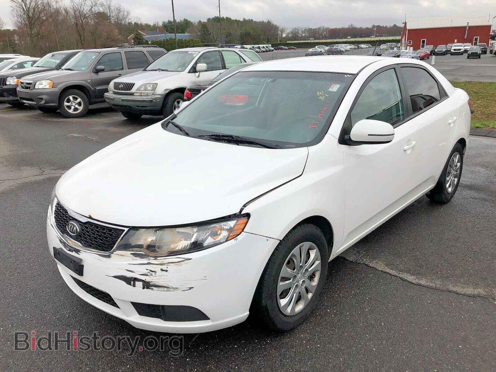 2011 KIA FORTE - VIN: KNAFU4A23B5434342 - Фото 2
