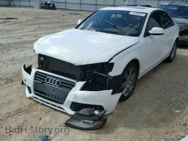 2010 AUDI A4 - VIN: WAUAFAFL7AN058733 - Фото 2