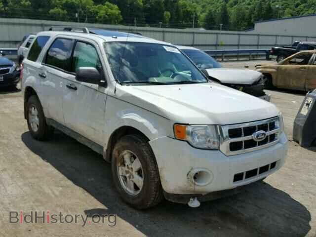 Photo 1FMCU9DG4BKB21680 - FORD ESCAPE 2011