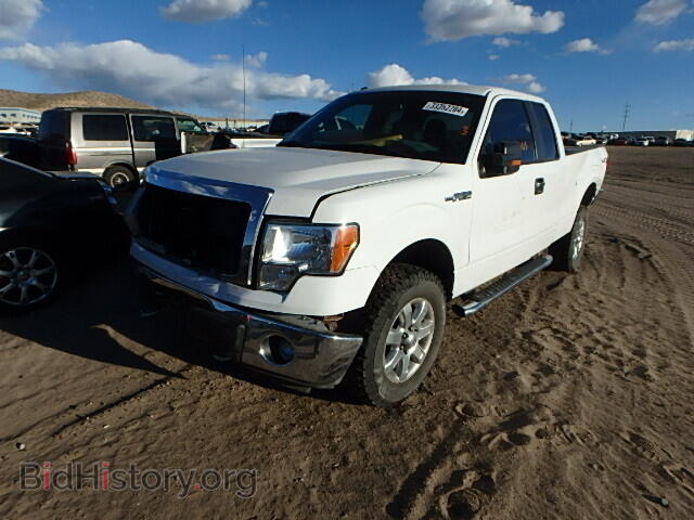 2013 FORD F150 - VIN: 1FTFX1EF4DFC20365 - Фото 2