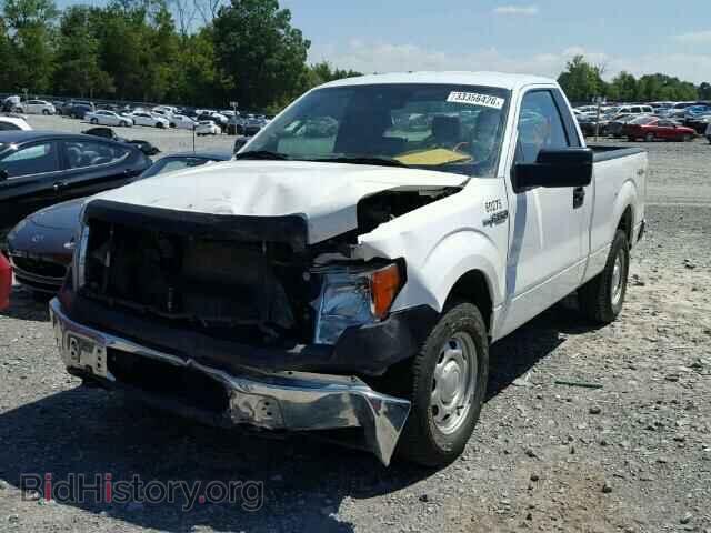 2013 FORD F150 - VIN: 1FTMF1EF4DFB80069 - Фото 2