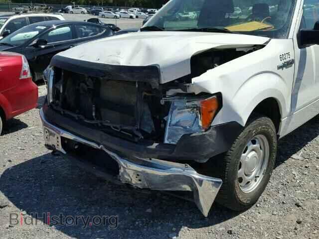 2013 FORD F150 - VIN: 1FTMF1EF4DFB80069 - Фото 9