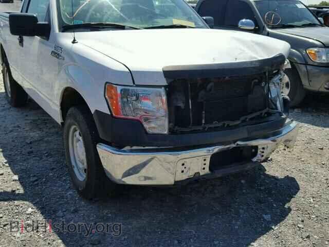 2013 FORD F150 - VIN: 1FTMF1EF4DFB80069 - Фото 10