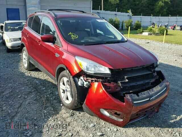 Фотография 1FMCU0GX1EUB21961 - FORD ESCAPE 2014