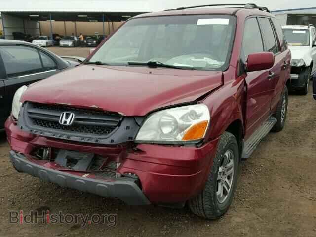 2005 HONDA PILOT - VIN: 5FNYF18645B018607 - Фото 2