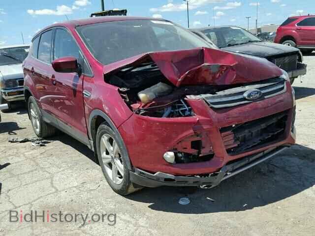 Фотография 1FMCU0G99EUC19010 - FORD ESCAPE 2014