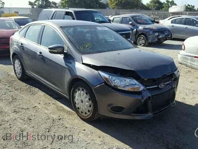 Photo 1FADP3F24DL177913 - FORD FOCUS 2013