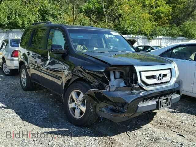 Фотография 5FNYF4H54BB006252 - HONDA PILOT 2011