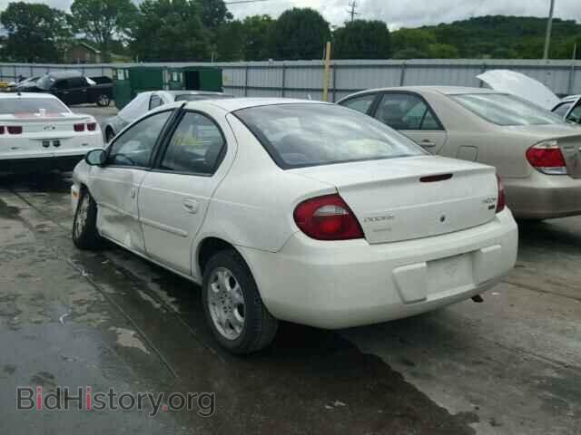 2005 DODGE NEON - VIN: 1B3ES56C45D164304 - Фото 3