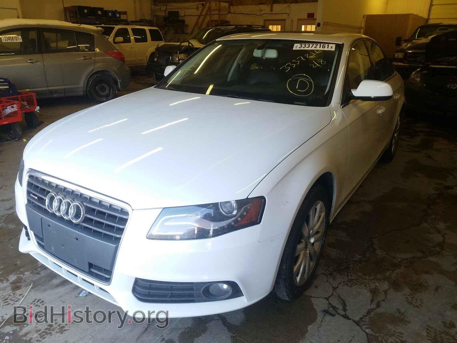 2012 AUDI A4 - VIN: WAUBFAFL5CN005150 - Фото 2