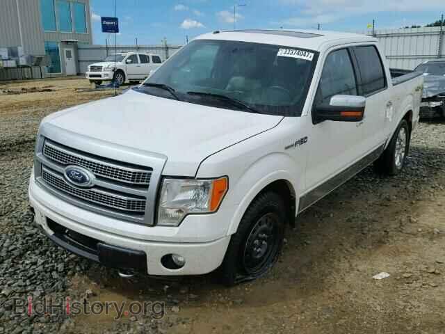 2011 FORD F150 - VIN: 1FTFW1EF8BFA00906 - Фото 2