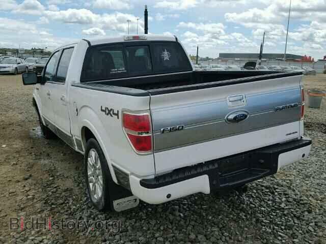 2011 FORD F150 - VIN: 1FTFW1EF8BFA00906 - Фото 3