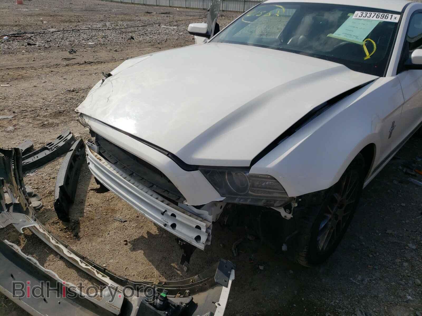 2013 FORD MUSTANG - VIN: 1ZVBP8AM1D5258392 - Фото 9