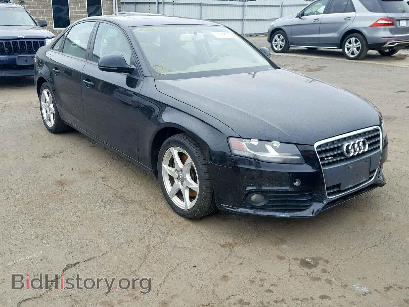 Фотография WAULF78K49N030111 - AUDI A4 2009