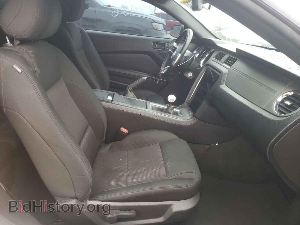 2014 FORD MUSTANG - VIN: 1ZVBP8CF3E5239519 - Фото 5