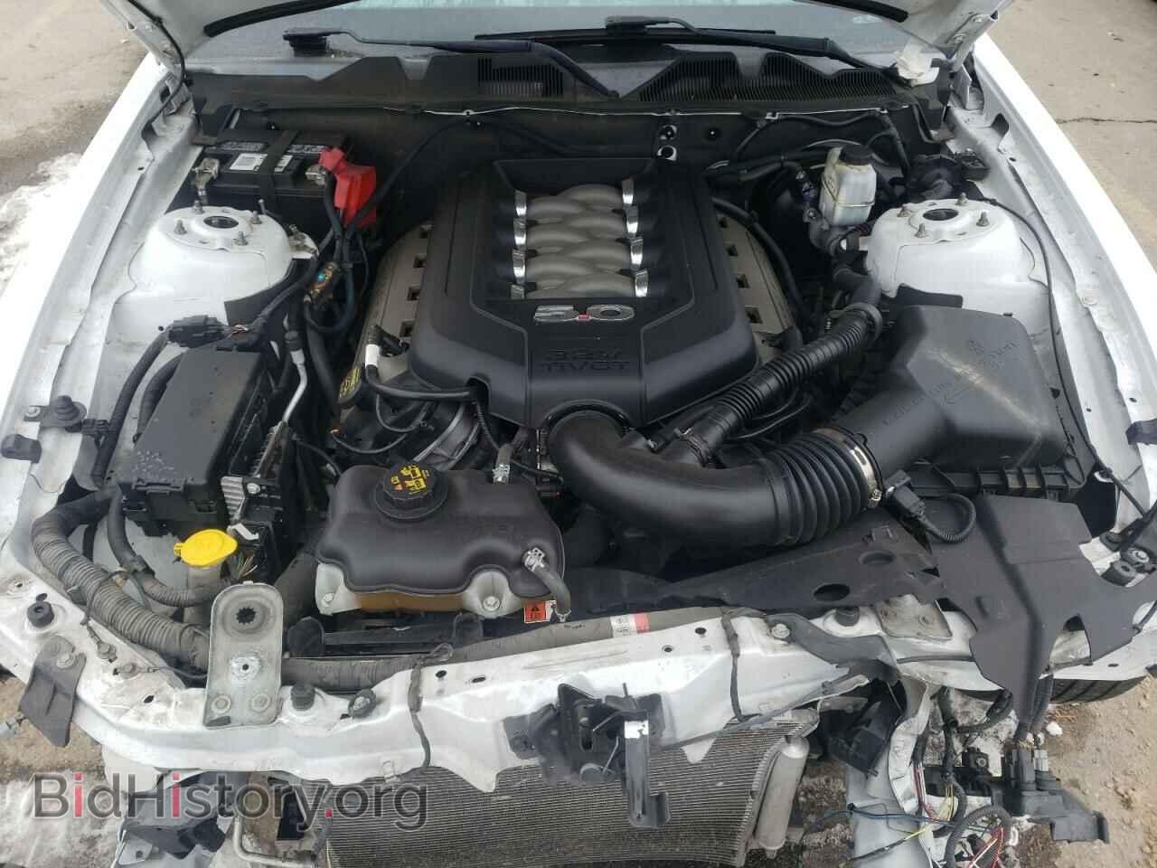 2014 FORD MUSTANG - VIN: 1ZVBP8CF3E5239519 - Фото 7