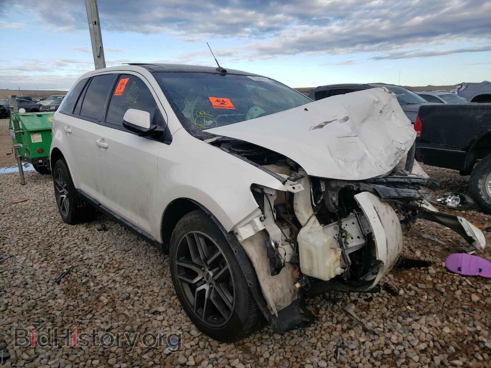 Фотография 2FMDK4JC1DBE05554 - FORD EDGE 2013