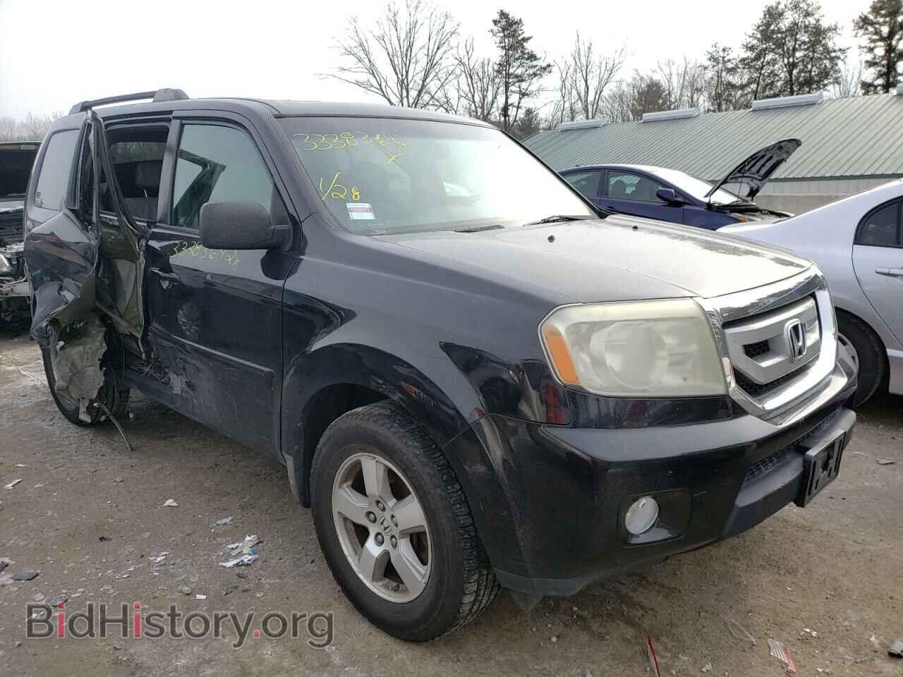 Фотография 5FNYF48519B026646 - HONDA PILOT 2009