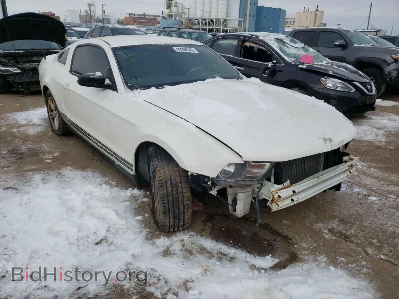 Фотография 1ZVBP8AM6C5262260 - FORD MUSTANG 2012