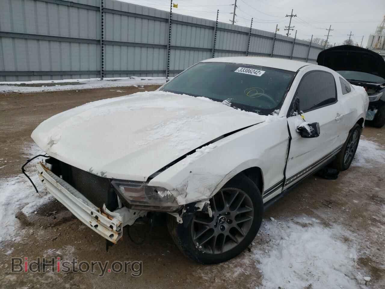 2012 FORD MUSTANG - VIN: 1ZVBP8AM6C5262260 - Фото 2