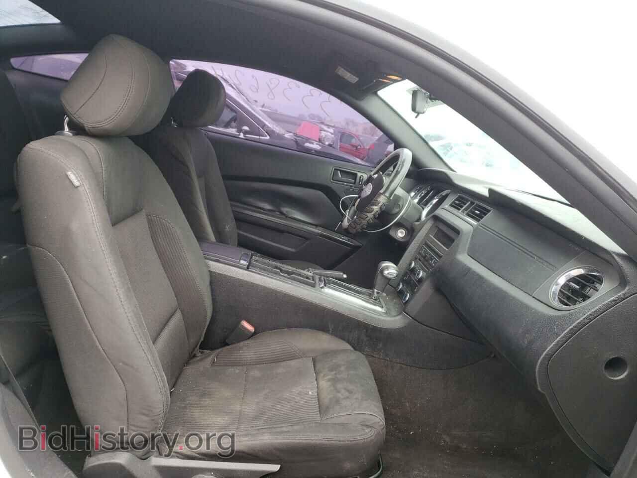 2012 FORD MUSTANG - VIN: 1ZVBP8AM6C5262260 - Фото 5