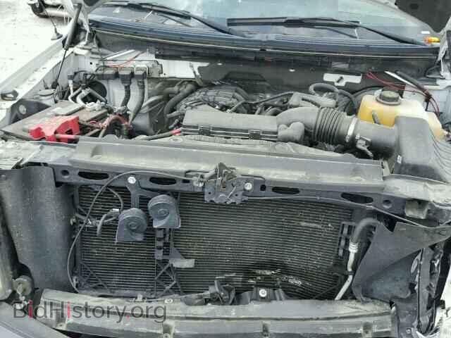 2013 FORD F150 - VIN: 1FTMF1CM8DFD15006 - Фото 7