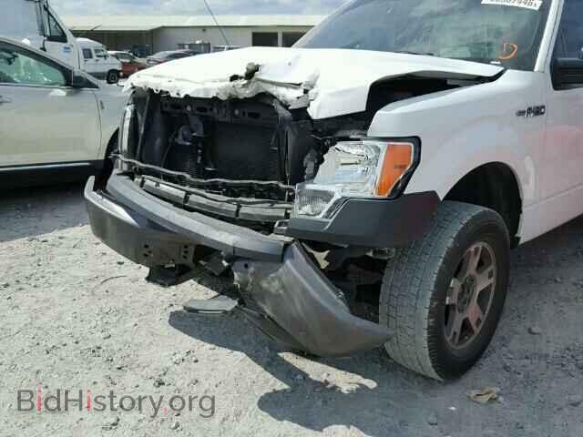 2013 FORD F150 - VIN: 1FTMF1CM8DFD15006 - Фото 9