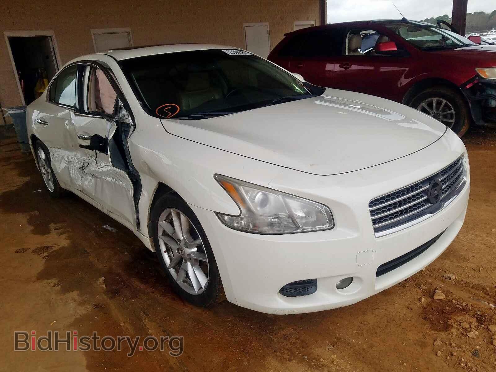 Фотография 1N4AA5AP4BC821717 - NISSAN MAXIMA 2011