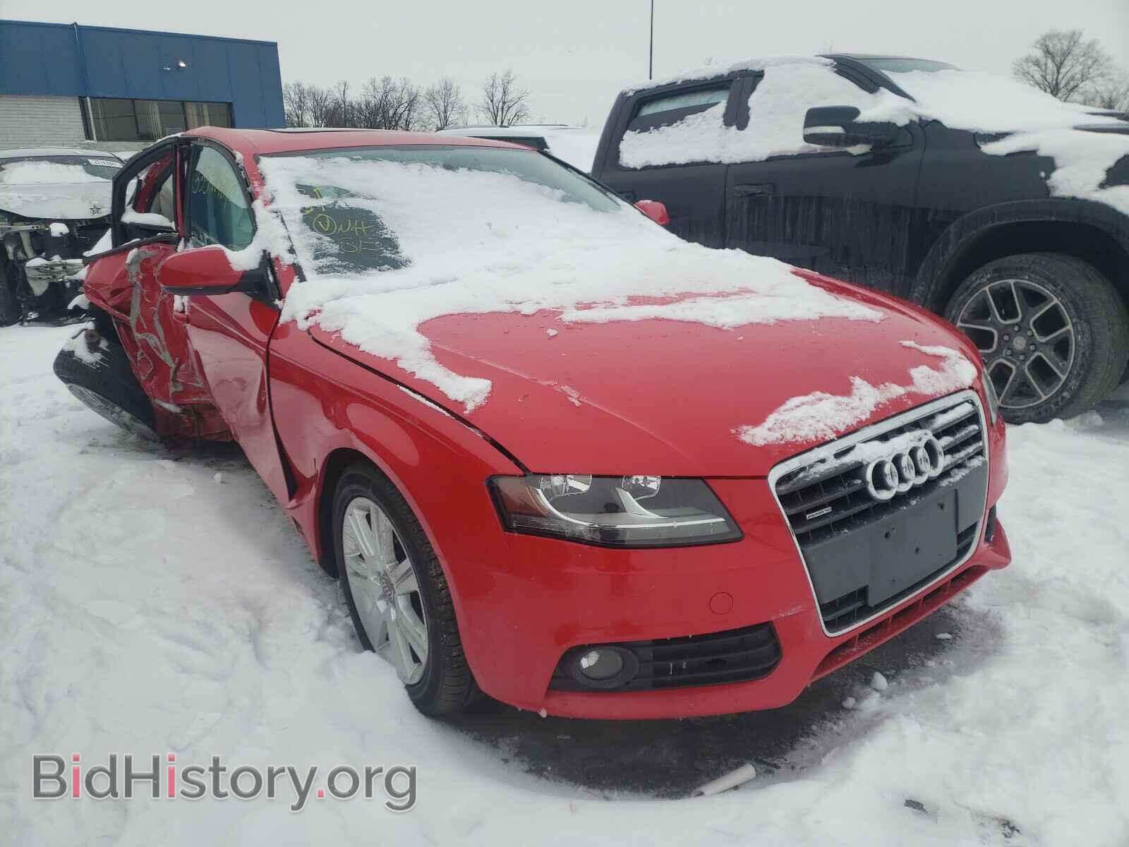 Фотография WAUBFAFL4AN019165 - AUDI A4 2010