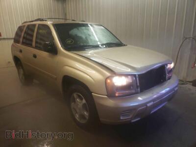 2006 Chevrolet TRAILBLAZE, светло-коричневый — VIN 1GNDT13S762360785, Copart