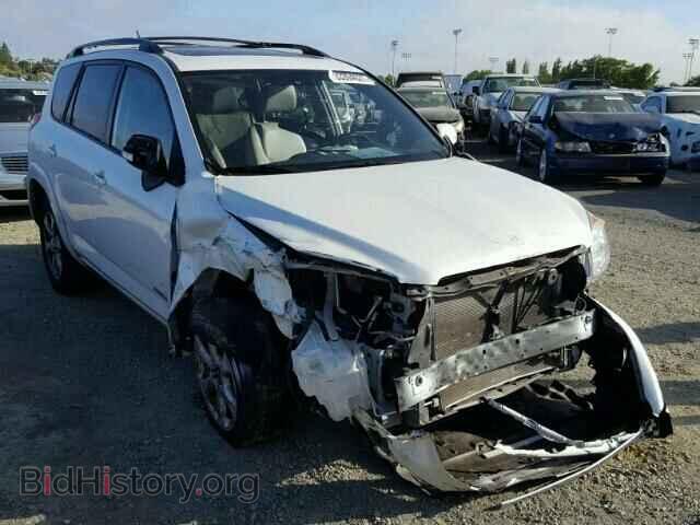 Фотография 2T3YF4DV8BW104667 - TOYOTA RAV4 2011
