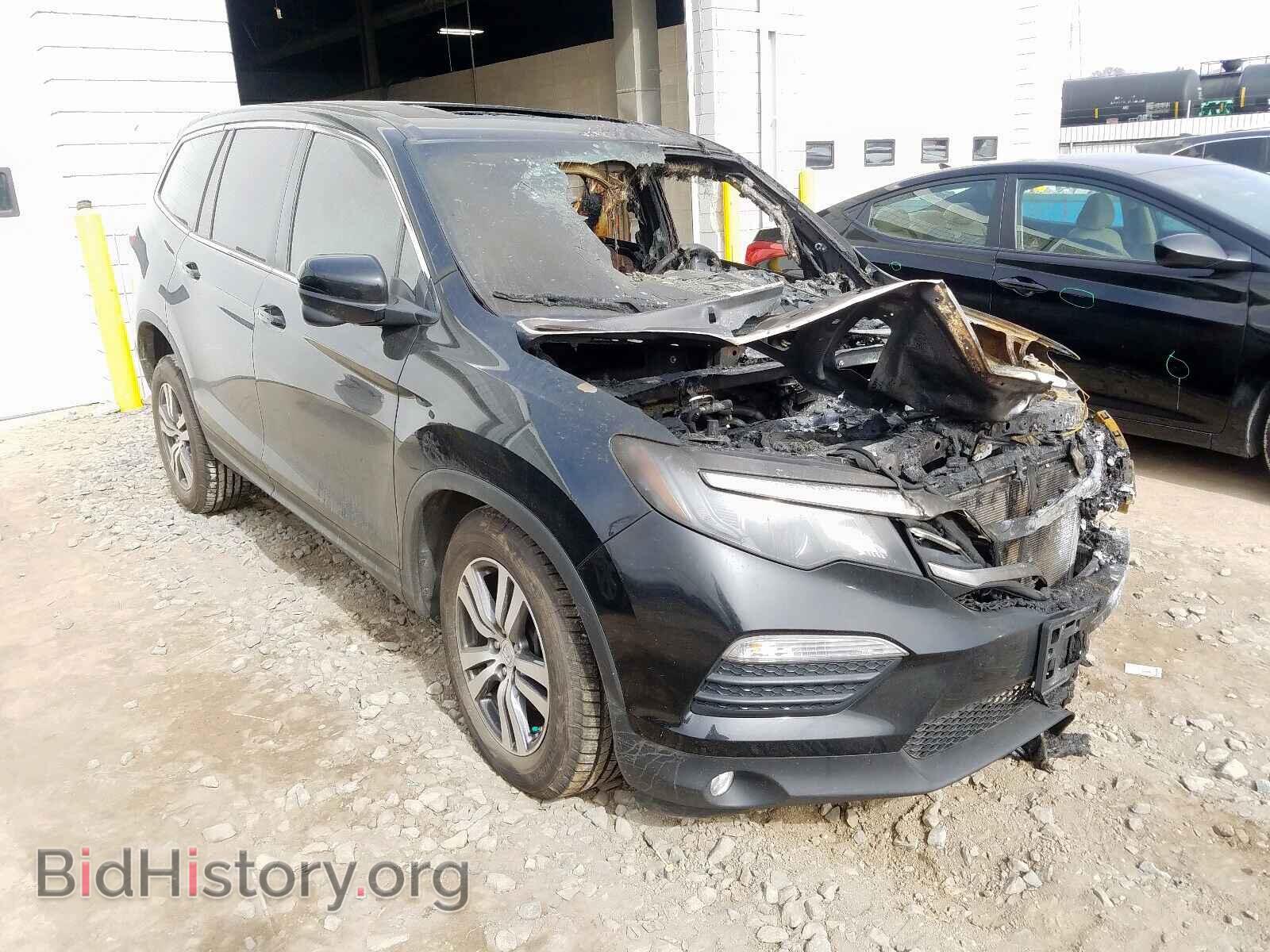 Фотография 5FNYF6H80GB120486 - HONDA PILOT 2016