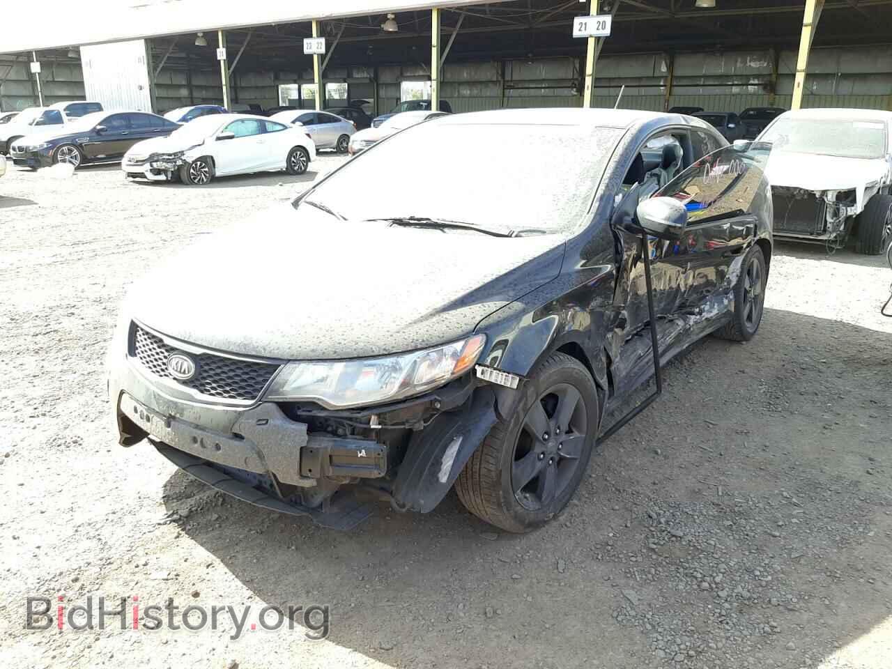 2011 KIA FORTE - VIN: KNAFU6A2XB5466541 - Фото 2