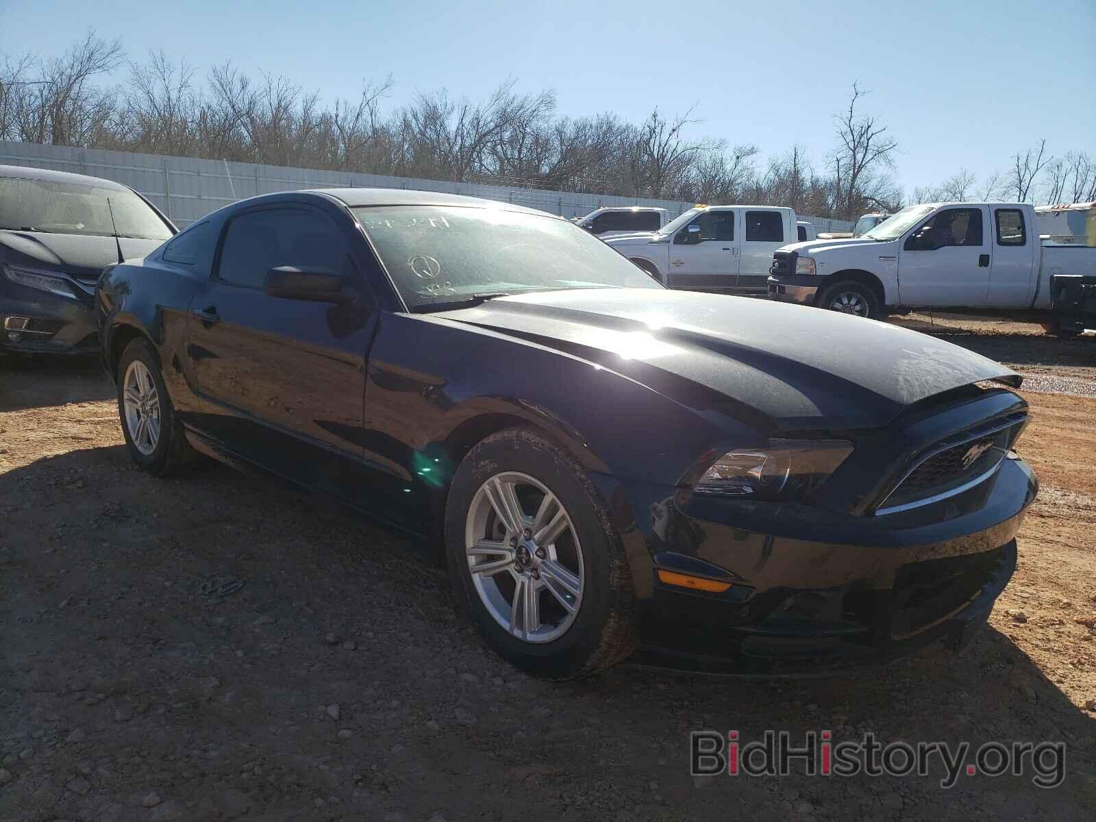 Photo 1ZVBP8AM7E5245244 - FORD MUSTANG 2014