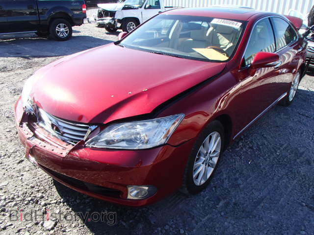 2010 LEXUS ES350 - VIN: JTHBK1EG1A2372501 - Фото 2