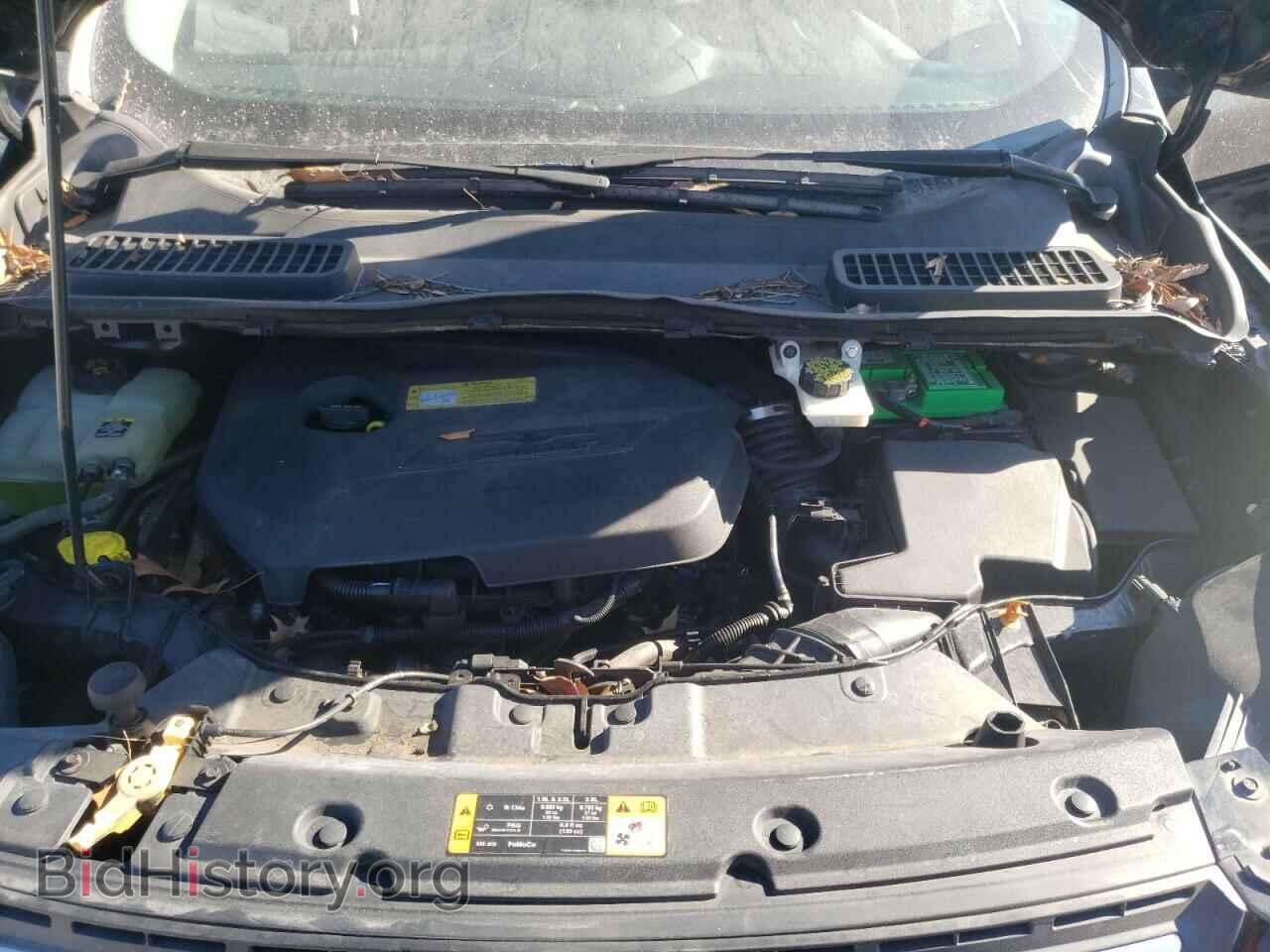 2013 FORD ESCAPE - VIN: 1FMCU0GX8DUA95261 - Фото 7