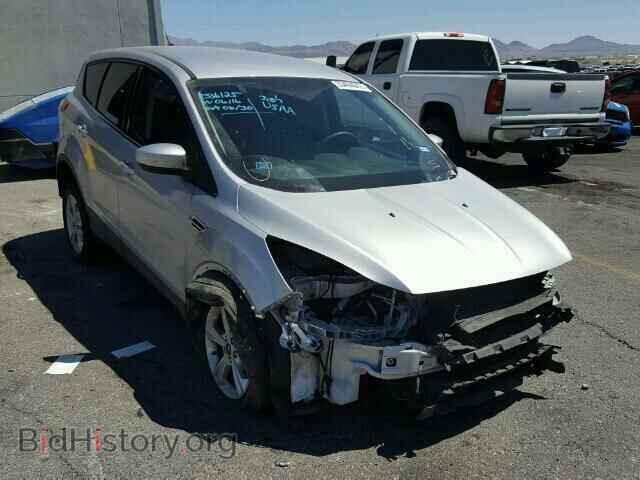 Фотография 1FMCU0GX9EUE51041 - FORD ESCAPE 2014