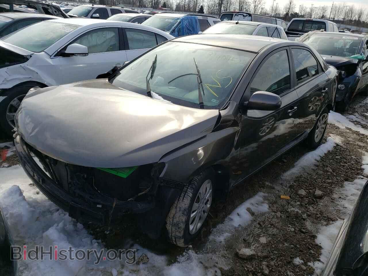 2012 KIA FORTE - VIN: KNAFU4A2XC5546685 - Фото 2