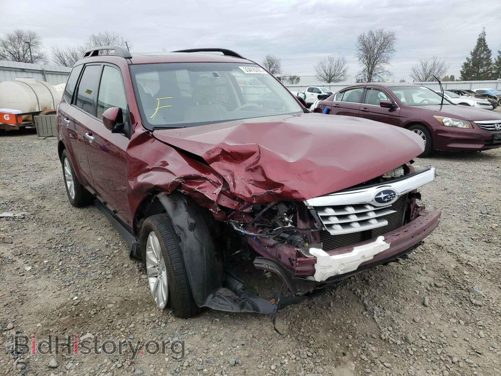 Фотография JF2SHADC6DH423492 - SUBARU FORESTER 2013