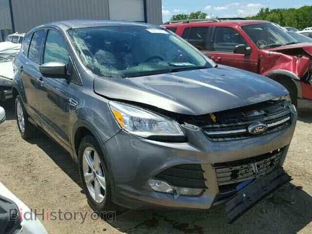 Фотография 1FMCU0GX5EUB57880 - FORD ESCAPE 2014