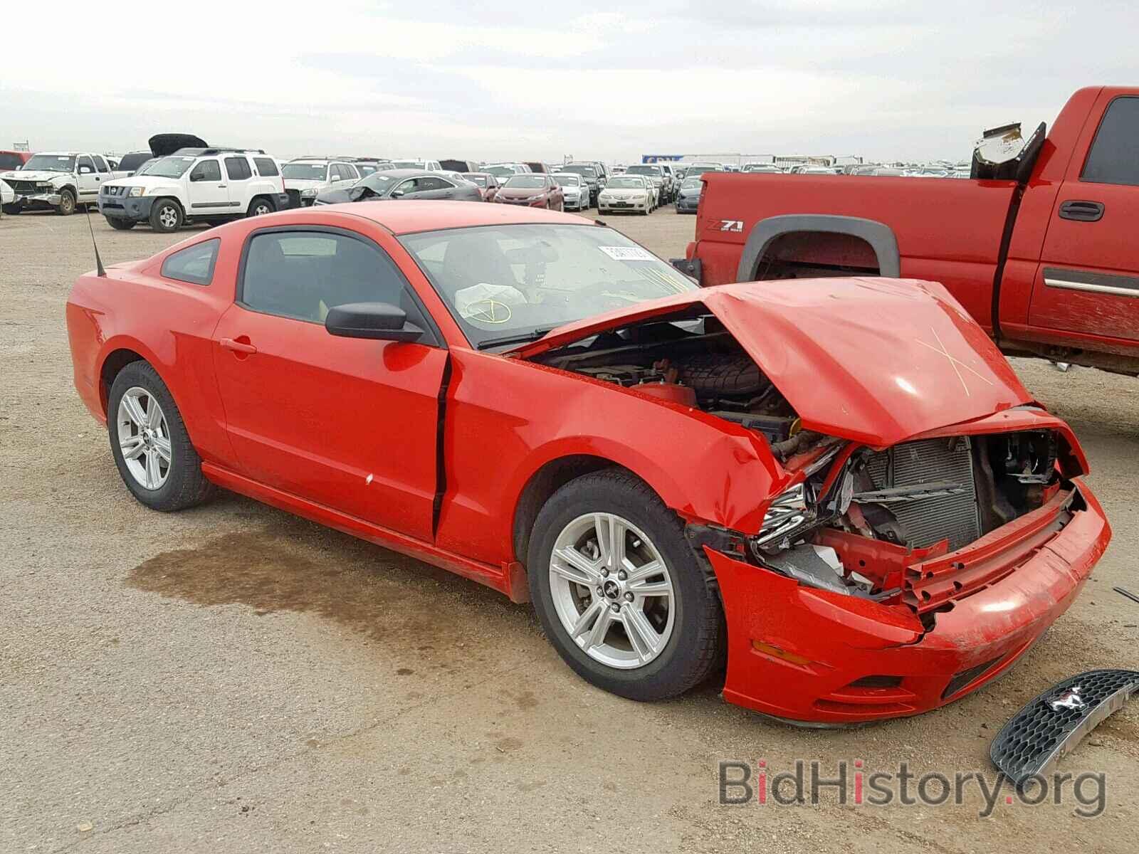 Photo 1ZVBP8AM5E5239670 - FORD MUSTANG 2014