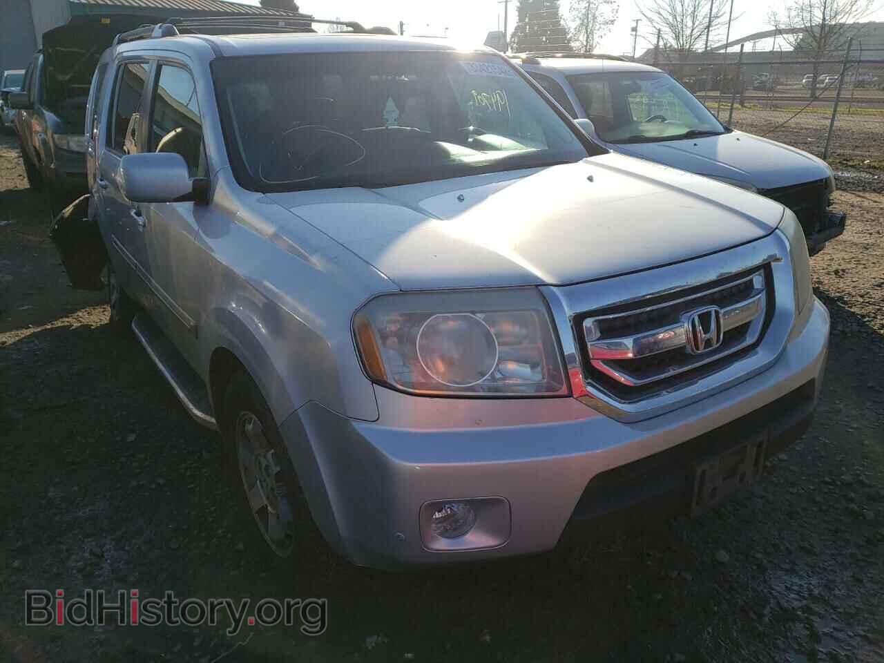 Фотография 5FNYF48969B010025 - HONDA PILOT 2009