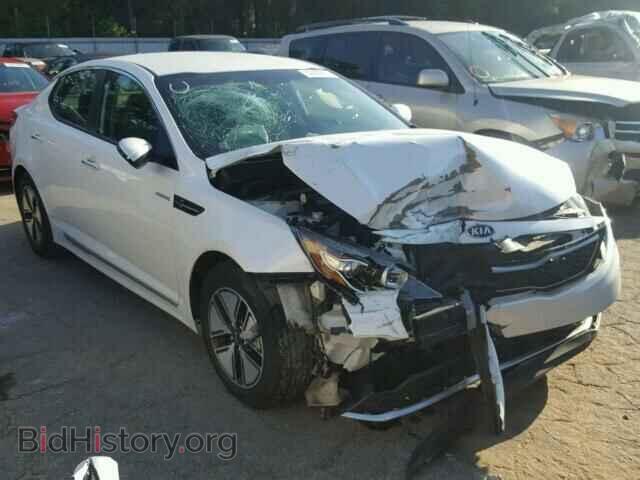 Фотография KNAGM4AD7D5041291 - KIA OPTIMA 2013