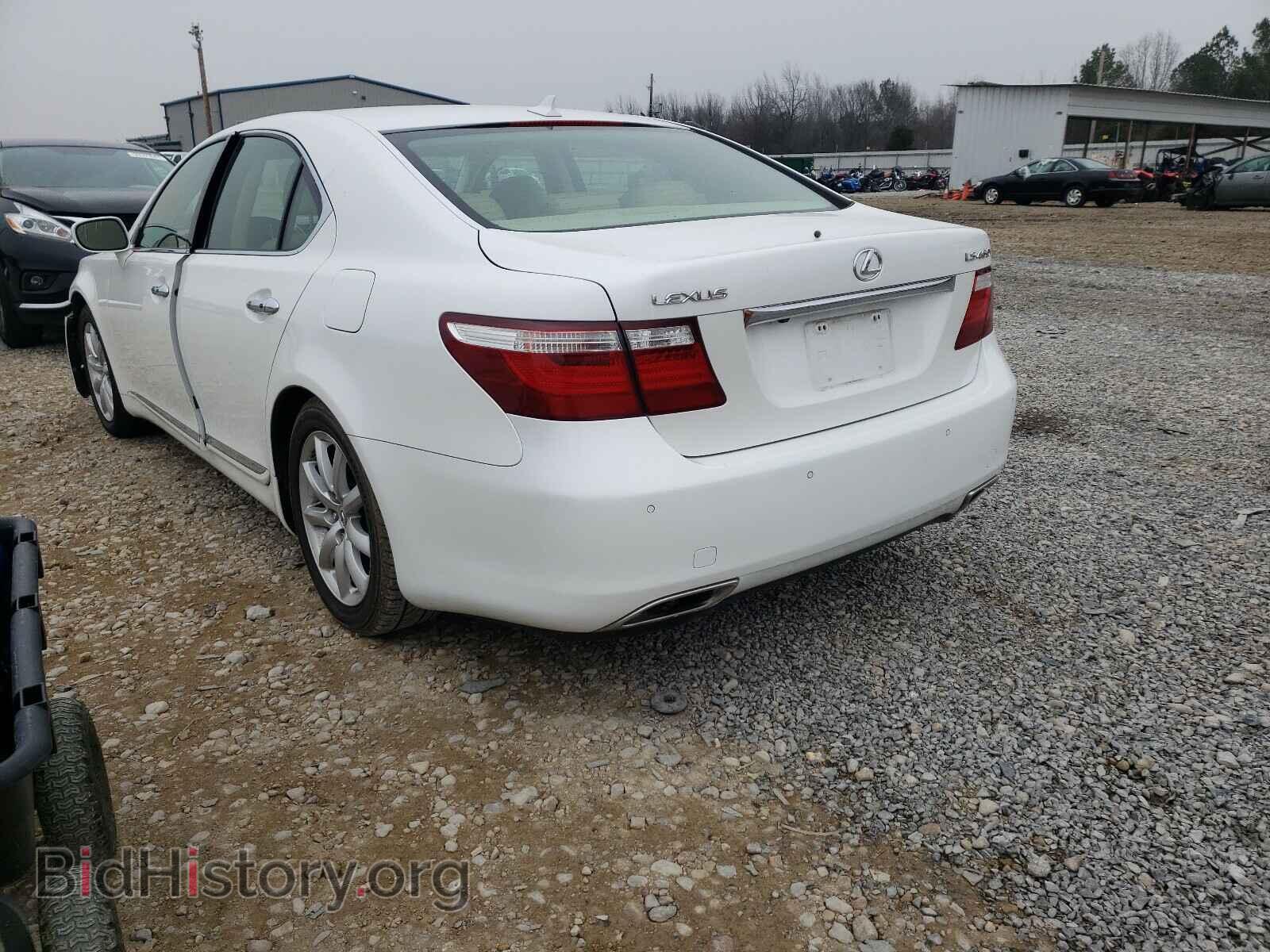 2007 LEXUS LS460 - VIN: JTHBL46F175029019 - Фото 3