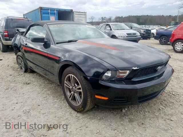 Photo 1ZVBP8EM9B5115438 - FORD MUSTANG 2011