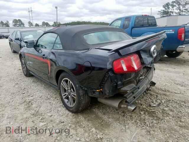 2011 FORD MUSTANG - VIN: 1ZVBP8EM9B5115438 - Фото 3