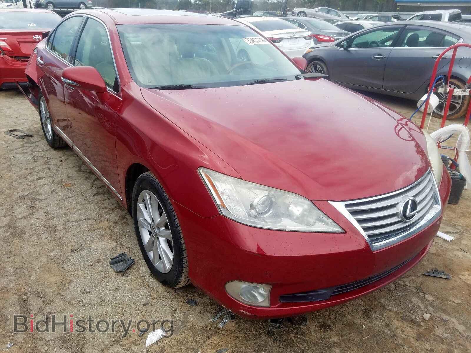 Фотография JTHBK1EG9A2391913 - LEXUS ES350 2010