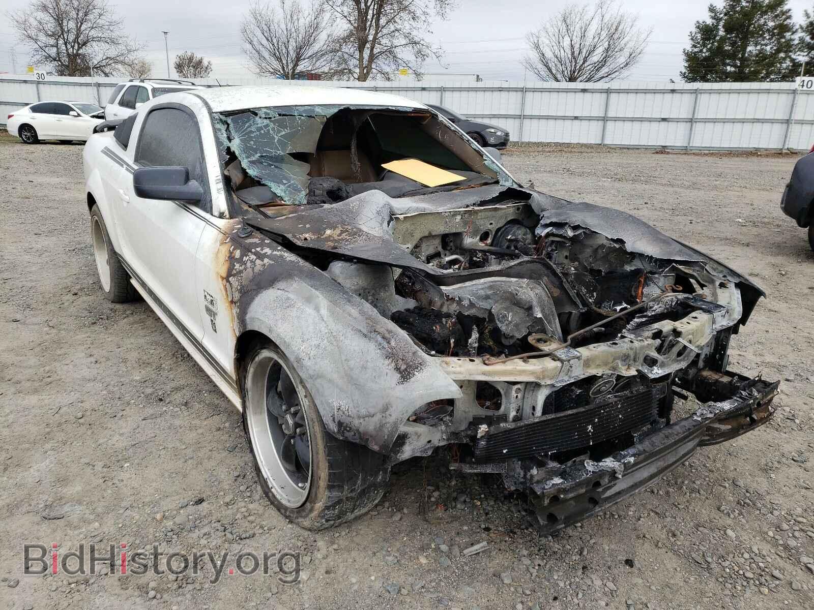 Photo 1ZVFT82H565120405 - FORD MUSTANG 2006