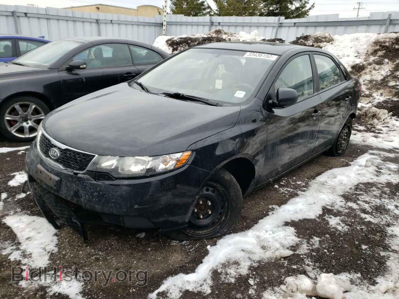2013 KIA FORTE - VIN: KNAFT4A29D5712487 - Фото 2